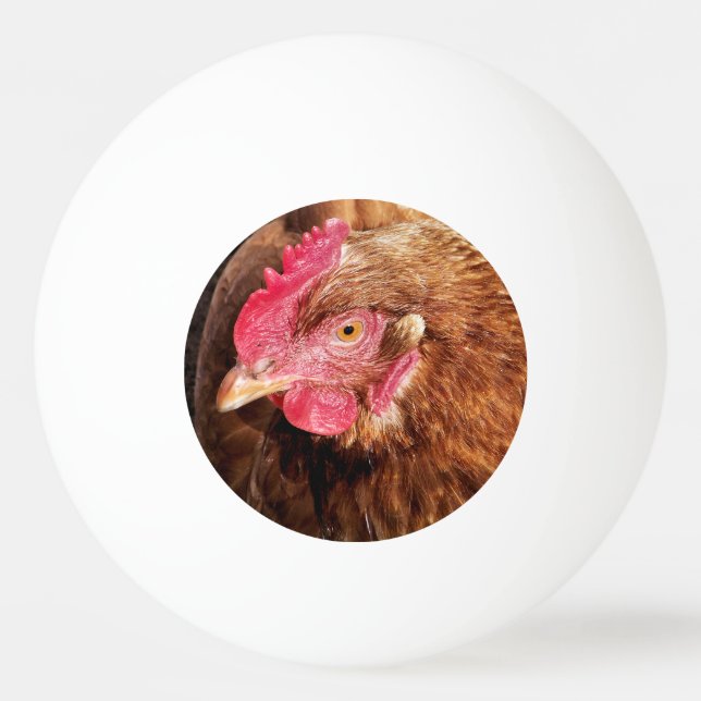 PELOTA DE PING PONG CUTE CHICKEN (Anverso)