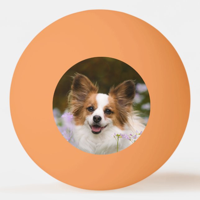 Pelota De Ping Pong Cute Papillon - Foto de cabeza española para los a (Anverso)