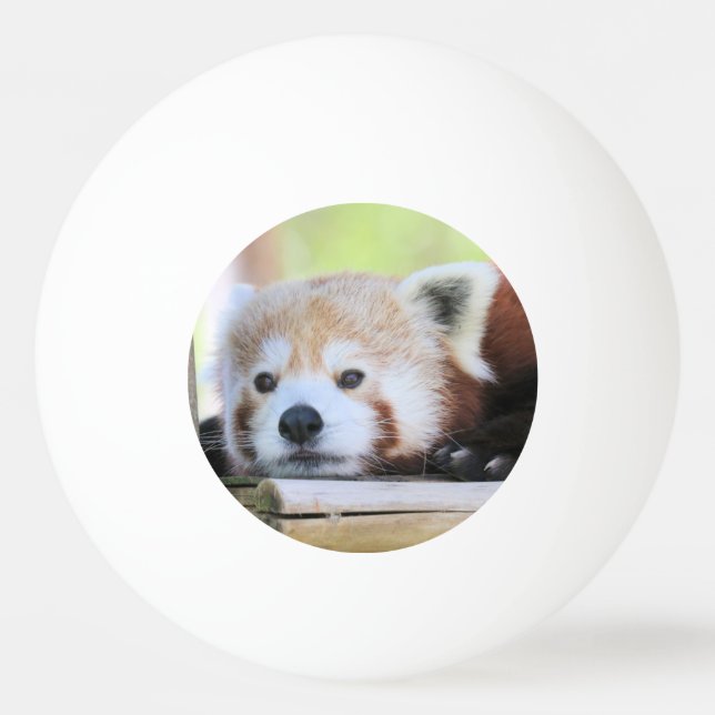 Pelota De Ping Pong Cute Ping Pong Ball (Reverso)