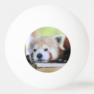 Pelota De Ping Pong Cute Ping Pong Ball