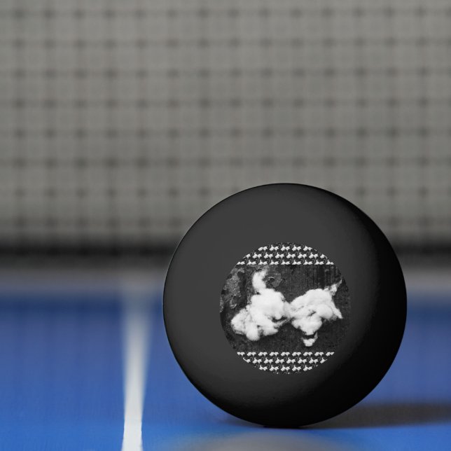 Pelota De Ping Pong deslizar (Neto)