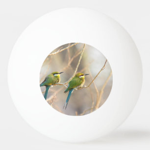 Pelota De Ping Pong Dos comedores de abejas