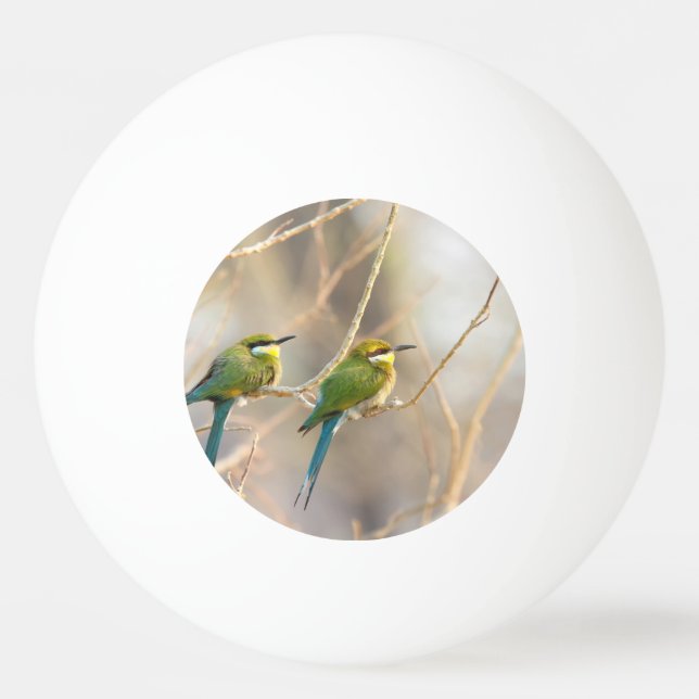 Pelota De Ping Pong Dos comedores de abejas (Reverso)