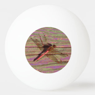 Pelota De Ping Pong Dragonfly Colorful
