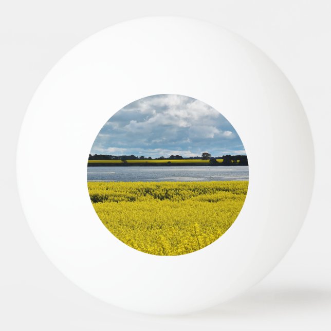 Pelota De Ping Pong Dramática belleza de Streatham (Anverso)