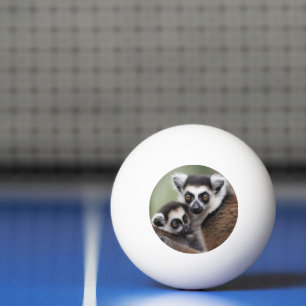 Pelota De Ping Pong **"El amor de una madre: Mami y bebé Lemur Cudling