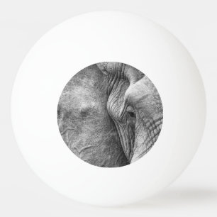 Pelota De Ping Pong El ojo de un elefante