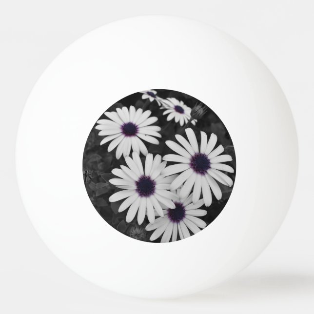 Pelota De Ping Pong El sutil contraste de la naturaleza (Anverso)