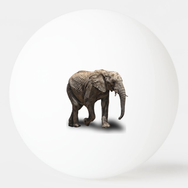 PELOTA DE PING PONG ELEFANTE (Anverso)