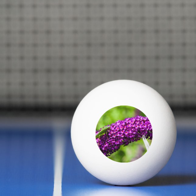 Pelota De Ping Pong energía katydid (Neto)