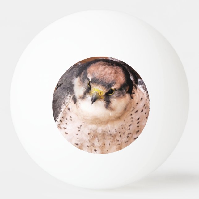 PELOTA DE PING PONG FALCON BIRD DE PREY (Anverso)