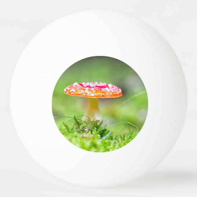 Pelota De Ping Pong Fliegenpilz (Reverso)