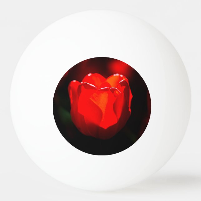 Pelota De Ping Pong Flor de tulipán rojo - Fuego (Anverso)