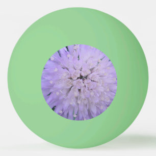 Pelota De Ping Pong Flor morada