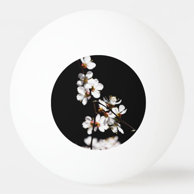 Pelota De Ping Pong Flores sakura (Anverso)