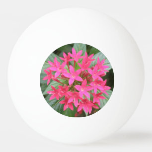Pelota De Ping Pong Flores tropicales rosa brillante Ping Pong Ball