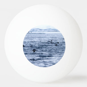 Pelota De Ping Pong Flying penguin