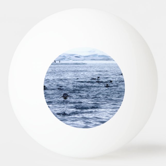 Pelota De Ping Pong Flying penguin (Reverso)