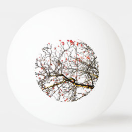 Pelota De Ping Pong Frutos romanos rojos o bayas de ceniza