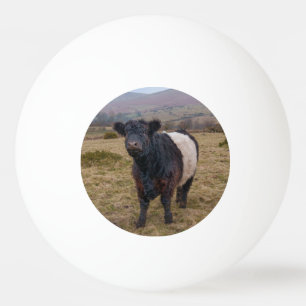 Pelota De Ping Pong Galloway alzado la voz orgulloso de Dartmoor Farml