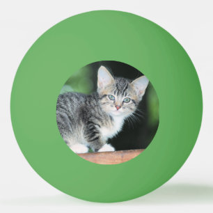 Pelota De Ping Pong Gatito