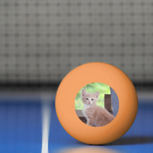 Pelota De Ping Pong Gatito
