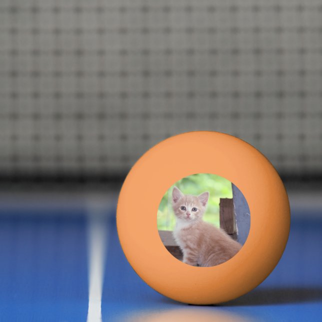 Pelota De Ping Pong Gatito (Neto)