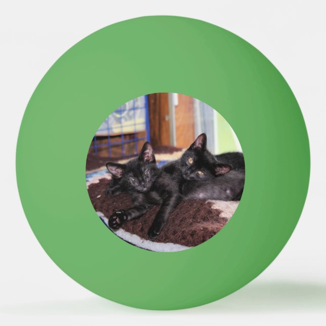 Pelota De Ping Pong Gatitos (Anverso)