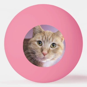 Pelota De Ping Pong Gato