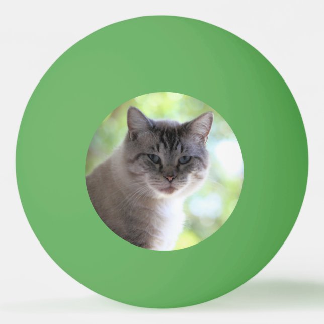 Pelota De Ping Pong Gato (Anverso)