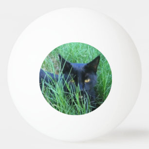 Pelota De Ping Pong Gato-en-Hierba
