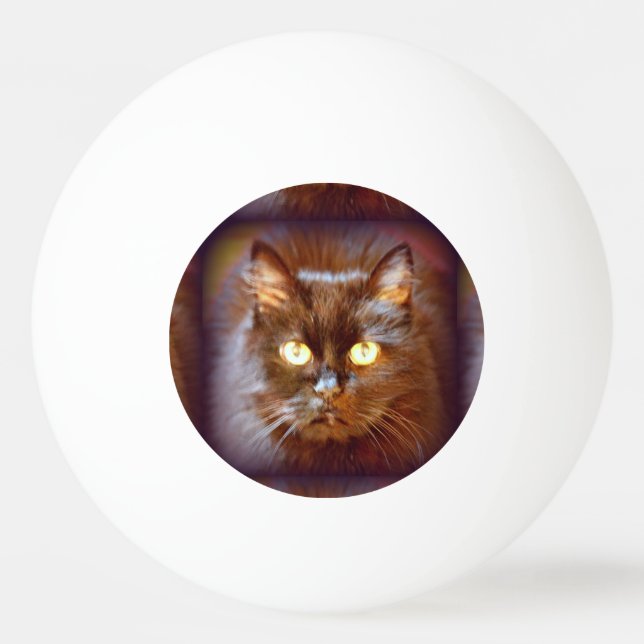 Pelota De Ping Pong gato negro (Reverso)