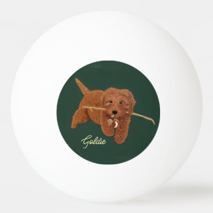 Pelota De Ping Pong Goldie Golden Doodle