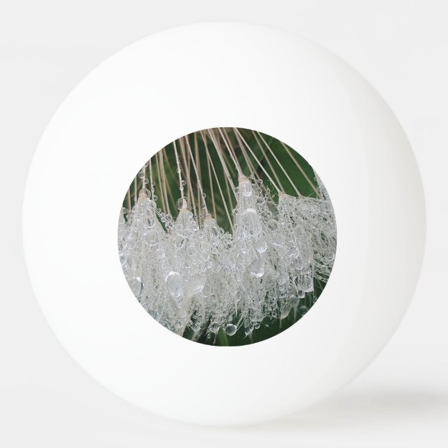 Pelota De Ping Pong Gotas de agua (Anverso)