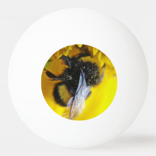 Pelota De Ping Pong Gran abejorro