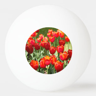 Pelota De Ping Pong Gran campo de tulipanes rojos