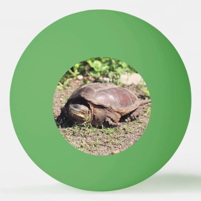 Pelota De Ping Pong Gran chico (Anverso)