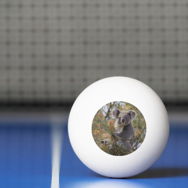 Pelota De Ping Pong Grevillea Koala Bear, (Neto)