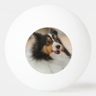 Pelota De Ping Pong Happy Shelty