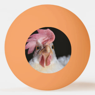 Pelota De Ping Pong Hen