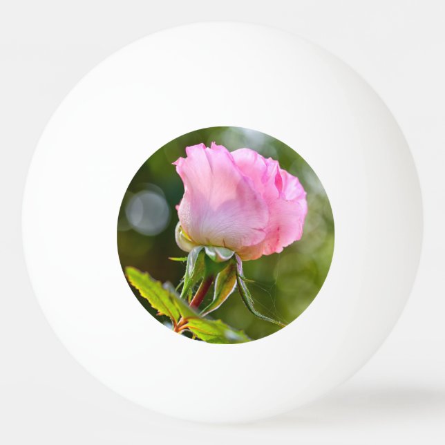 Pelota De Ping Pong Hermosa rosa (Reverso)