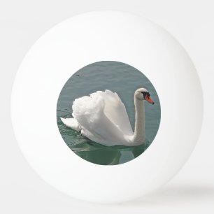 Pelota De Ping Pong Hermoso cisne blanco