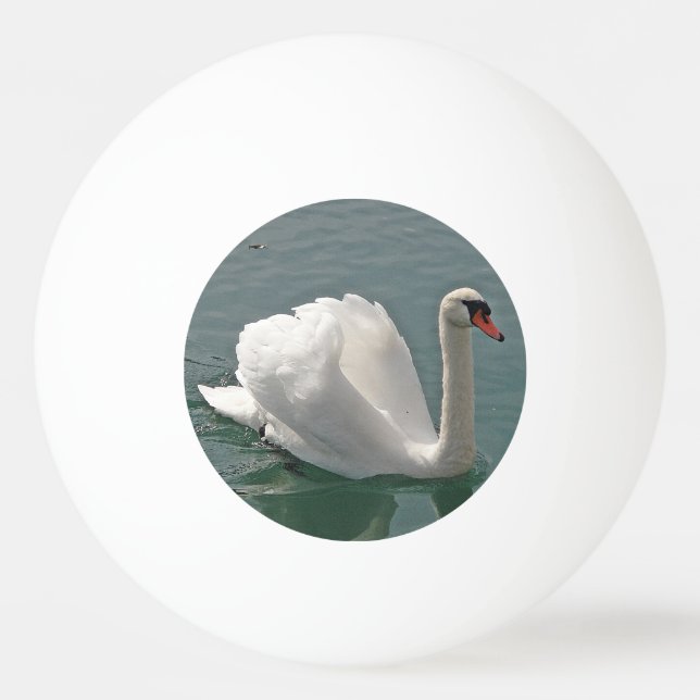 Pelota De Ping Pong Hermoso cisne blanco (Anverso)