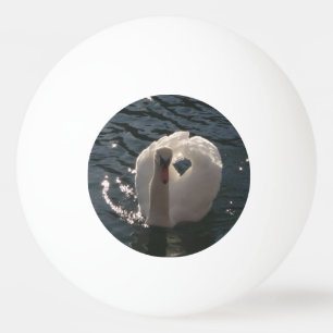 Pelota De Ping Pong Hermoso cisne blanco