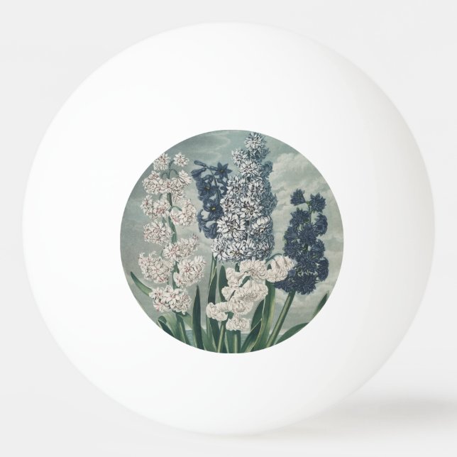 Pelota De Ping Pong Hiacintos (1807) - Exquisito vino (Anverso)