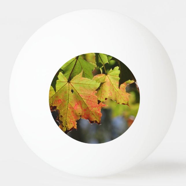 Pelota De Ping Pong Hojas de caída coloridas (Anverso)