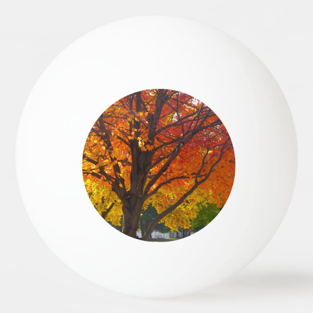 Pelota De Ping Pong Hojas otoñales de foto amarilla y Naranja (Anverso)