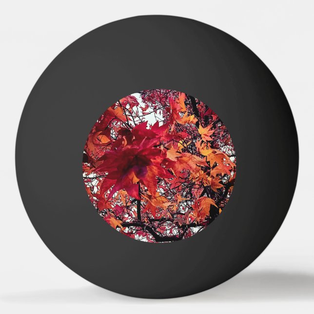 Pelota De Ping Pong Hojas rojas y naranjas (Anverso)