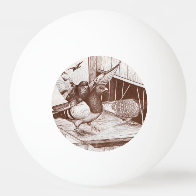 Pelota De Ping Pong Homecoming Homers (Anverso)