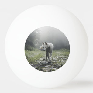 Pelota De Ping Pong Husky Siberiano Blanco